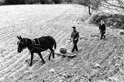 AGRÍCOLA DE PRADES