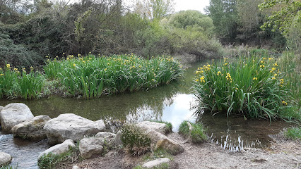 El Sargal en Viver. Reserva natural