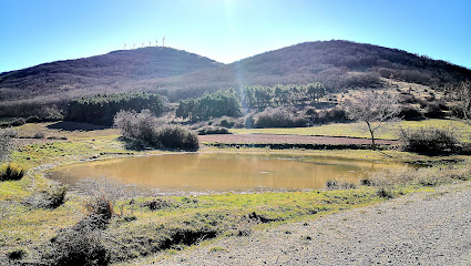 Lagunilla en Ólvega. Parque ecológico
