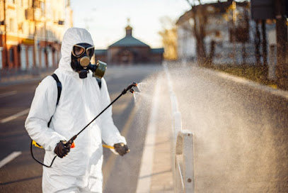 Plaguinsa | Tratamiento Termitas | Fumigación Cucarachas en Ayamonte. Empresa de fumigación y control de plagas