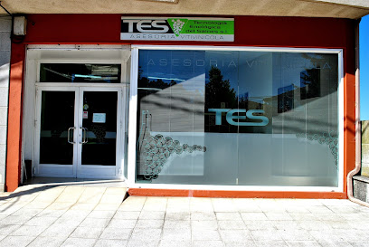 Tecnología Enologica Del Salnes