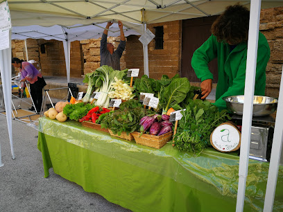 Ecomercado y productos SPG en Cádiz. Asociación agrícola