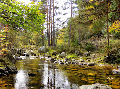 El Achichuelo en Villoslada de Cameros. Bosque nacional