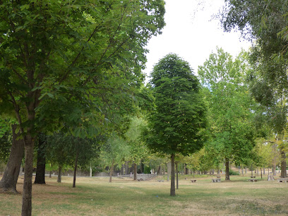 Pradera del Henar en Cuéllar. Parque ecológico