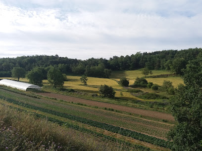 Vegetalia en Castellterçol. Suministro y fabricación de alimentos