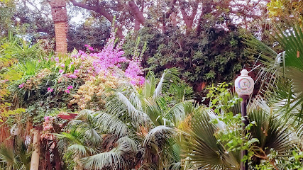 El Jardín de Nung en Aigües. Herbolario