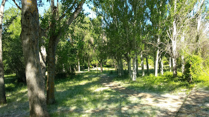 Parque Lineal Ribera del Río Guadalix en San Agustín del Guadalix. Parque