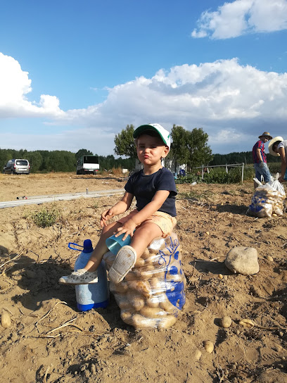 Patatas Alda S.L. en Huerta. Frutería