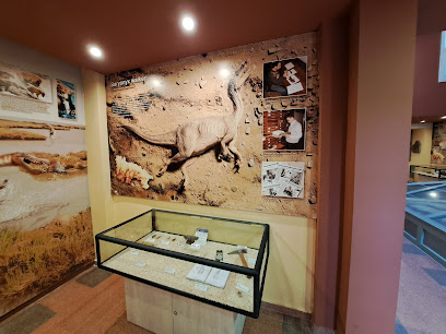 Centro Interpretación Paleontológica de La Rioja en Igea. Museo