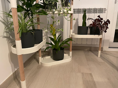 CitySens en Tarragona. Tienda de artículos para el hogar