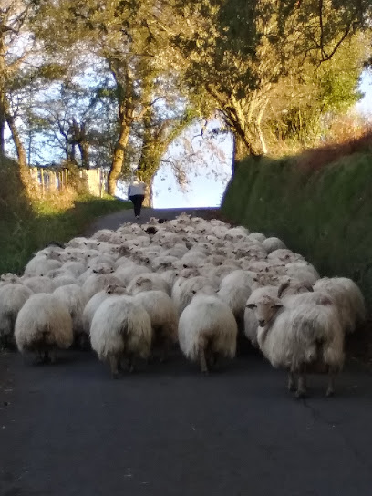 Telleri Zahar Baserria en Hernani. Quesería