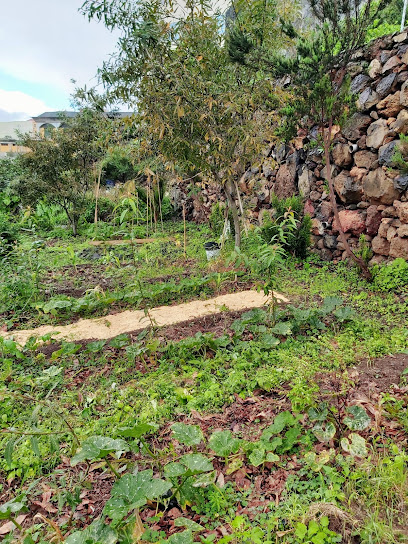 Huerto Ecológico Comunitario en Los Sauces. Huerto