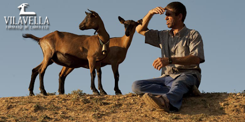 Formatges Vilavella - Quesos de cabra ecológicos en Basturs. Tienda de alimentos orgánicos