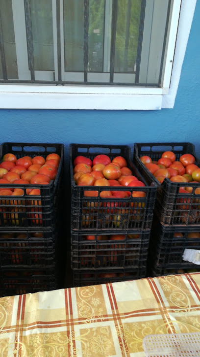 La Huerta De Bea. Productos Ecológicos en Moncófar. Comercio