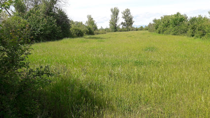 La vega de Navatejera en Poza de la Vega. Zona de senderismo