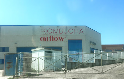 Kombucha Onflow en Lardero. Tienda de té