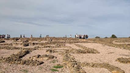 Yacimiento Protohistórico de Tejada la Vieja en Escacena del Campo. Lugar de interés histórico
