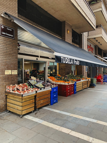 Tudela Fruits en Lleida. Frutería