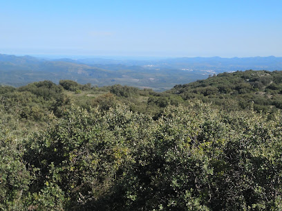 Alto de Las Palomas en Caudiel. Zona de senderismo