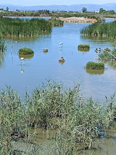 Reserva Natural Riet Vell - Centre de Visitants en Eucaliptus. Reserva natural