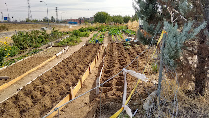 Plántate - El Bercial en Getafe. Huerto
