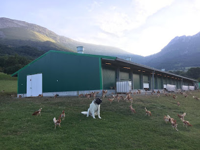 Oilobide en Lendoño de Arriba. Granja