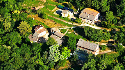 El Molí de la Plana - La Rovirota en Riudaura. Sin categoría