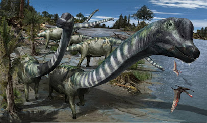 Museo de Dinosaurios en Salas de los Infantes. Museo