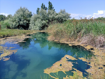 Espacio Natural: Ojos del Pontil en Rueda de Jalón. Museo