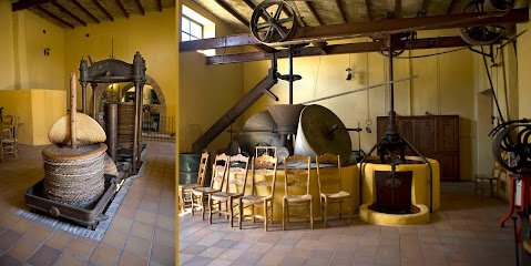 Oro del desierto en Tabernas. Almazara
