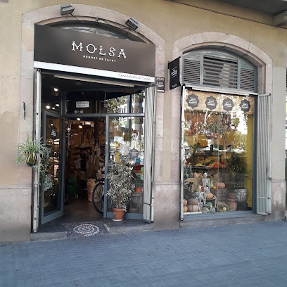 Molsa Ceres Natural en Barcelona. Tienda de alimentos orgánicos
