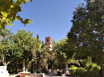 Jutjat de Pau en Alcocer de Planes. Ayuntamiento
