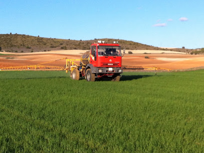 Fersaiz SL en Castillo de Garcimuñoz. Mercado de productos agrícolas
