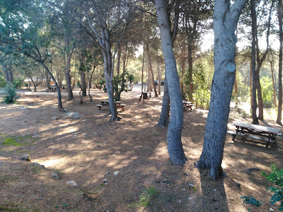 Picnic El Vedat en Torrent. Parque