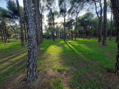 Parque Forestal El Gurugú en Villa del Prado. Parque