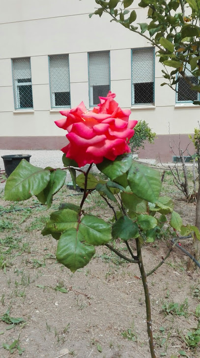 huerto ecológico en Cádiz. Jardín