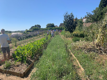Huerta-Jardín del Boticario en Macastre. Huerto