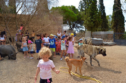 -MÓN- La Bassa en El Vendrell. Refugio para animales