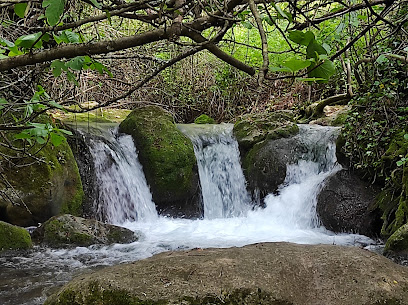 Sendero Río Majaceite en El Bosque. Zona de senderismo