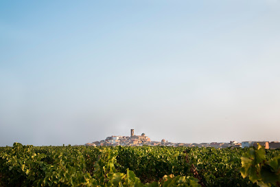 Celler Batea en Batea. Bodega