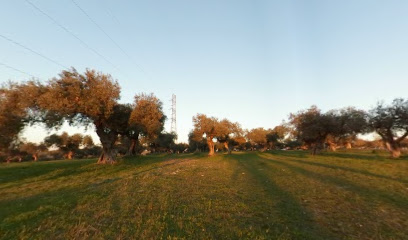 Parque Forestal Dehesa Doña María en Dos Hermanas. Parque