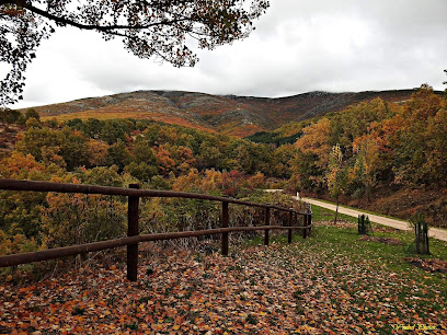 Riofrio de Riaza en Riofrío de Riaza. Área