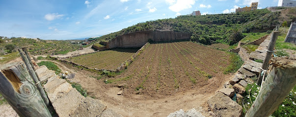 Finca Los Vallitos en Arico Viejo. Estancia en granjas
