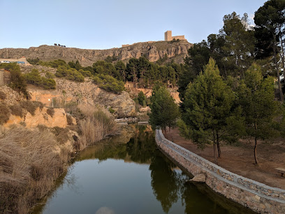 Charco del Zorro en Jumilla. Reserva natural