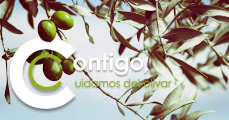 Extractora Ecológica De Mora S. A. en Mora. Servicio agrícola