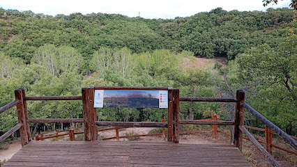 Bosque de Valdenazar en Yebes. Bosque nacional
