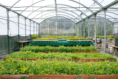 Hortiaroma Bio Viveros en Olmeda de las Fuentes. Vivero