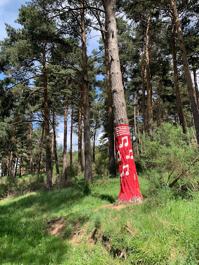 Bosque calcetín. en Pradoluengo. Zona de senderismo