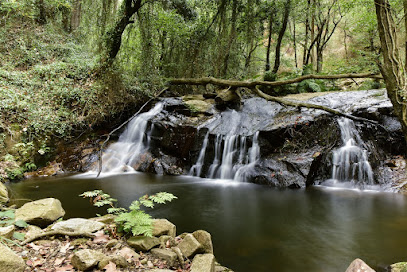 Parque Mediambiental Gualba en Gualba. Parque