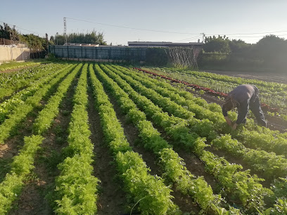 Bancal de Cento en Gandía. Frutería